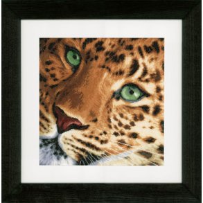 Broderi pakning - Leopard