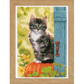 Broderipakning - Billede - Kat ved bl dr