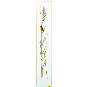 Broderipakning - Sivsanger i siv