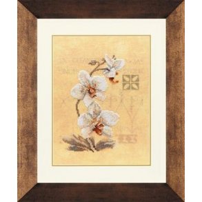 Broderipakning - Orkide