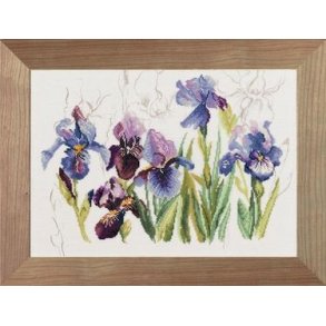 Broderipakning - Iris