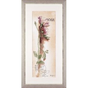 Broderipakning - Rosa