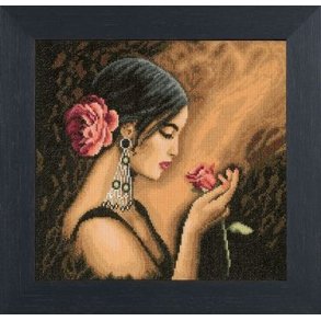 Broderipakning - Spansk sknhed 2