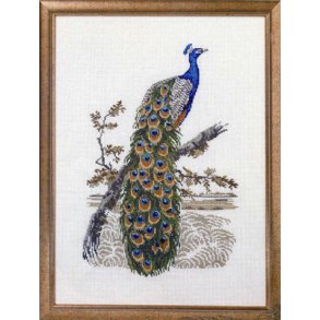 Broderipakning - Pfugl