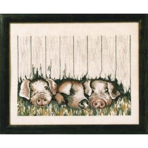 Broderipakning - Grise