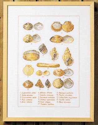 Broderipakning - Muslingeskaller