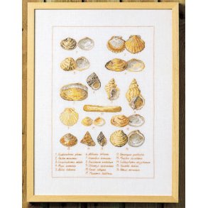 Broderipakning - Muslingeskaller