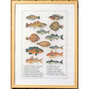 Broderipakning - Fisk