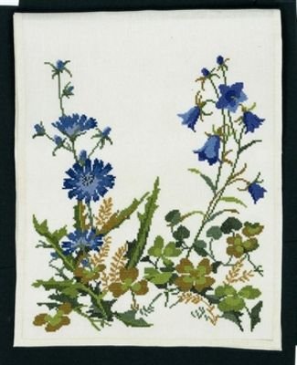 Broderipakning - Lber Cikorie