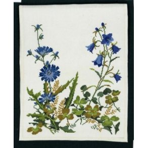 Broderipakning - Lber Cikorie