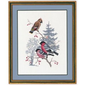 Broderipakning - Dompap og silkehale