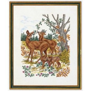 Broderipakning - Rdyr