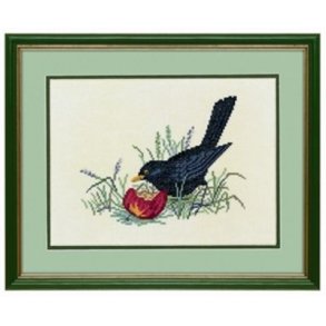 Broderipakning - Solsort med ble