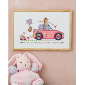 Broderipakning - Fdselsminde - Clara-Sofie