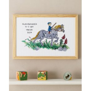 Broderipakning - Fdselsminde / Billede - Emil fra Lnneberg