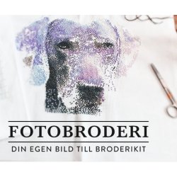 Computerprogrammet Broderi standard p USB stick