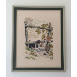 F�rdigbroderet - Hundehvalpe med pindsvin