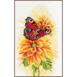 Broderipakning - Billede - Sommerfugl