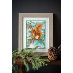 Broderipakning - Billede - Egern i fyrretr