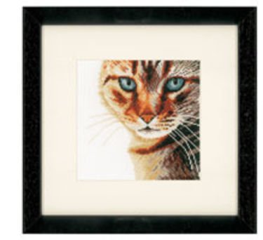 Broderipakning - Kat med bl� �jne