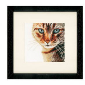 Broderipakning - Kat med bl jne