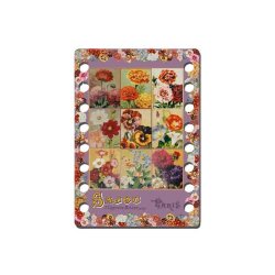 Trdorganiser - SAJOU - ROCHEFORT MODEL